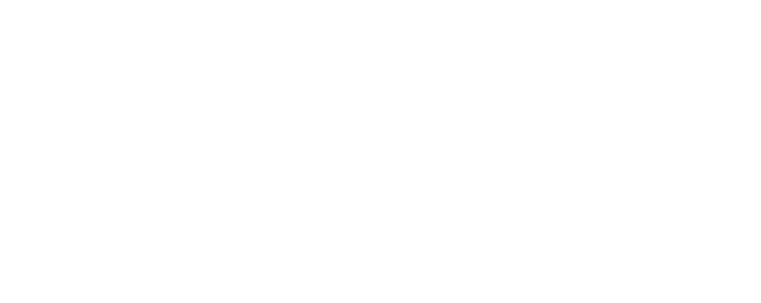 Hummingbird Executive